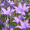 Heilpraxis Ulrike May 6